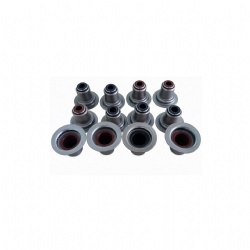 WP12 Valve seal 1000549569